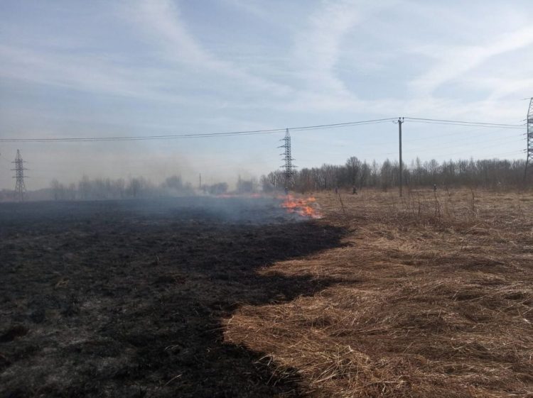 В Ярославской области зафиксировано 29 случаев пала травы