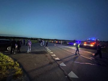 Водителя, сбившего насмерть двух детей в Ярославской области, объявили в международный розыск