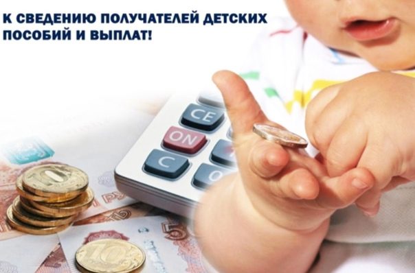 СФР по Костромской области делится графиком выплат
