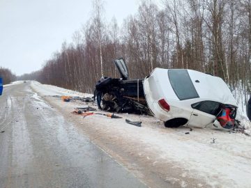 В смертельном ДТП обвинили многодетную мать
