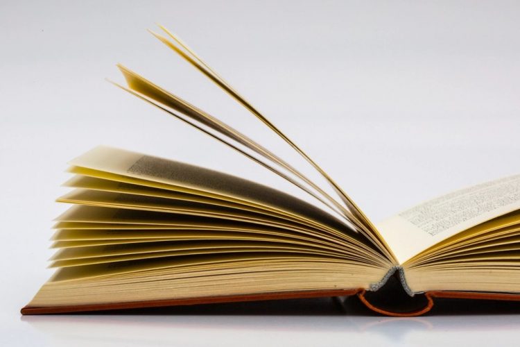Книга и записи на уроке литературы