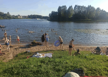 Запрет на собак на пляжах Ярославля