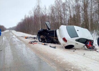 В смертельном ДТП обвинили многодетную мать