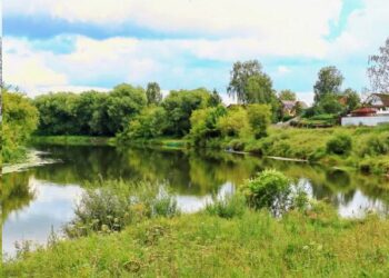 В Ярославской области в Которосли утонул юноша